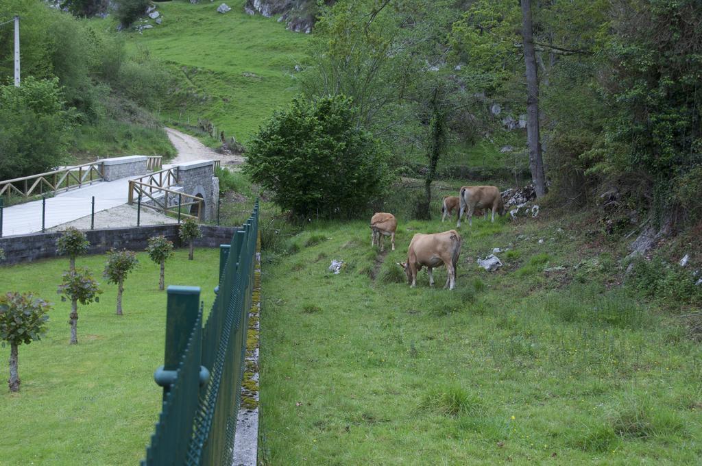 Gospodarstwo wiejskie El Prau La Iglesia - Llanes *